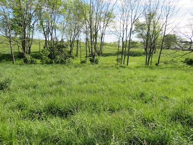 1185 Craig Crossing Rd, Winchester, KY 40391 - photo 6