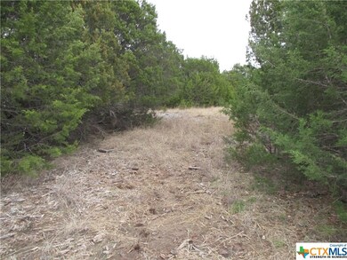 000 County Road 4818, Kempner, TX 76539 - photo 4