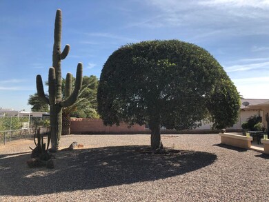 10526 W Kelso Dr, Sun City, AZ 85351 - photo 7