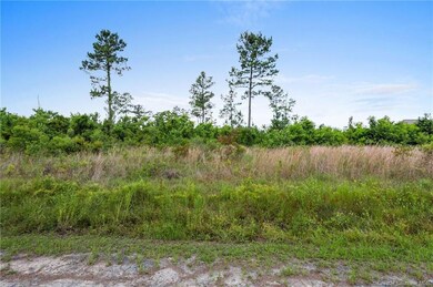 0 Harvey Parker Rd unit SWL25003392, Dequincy, LA 70633 - photo 7