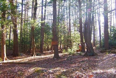 E-208 Hemlock Rd, Woodstock, CT 06281 - photo 2