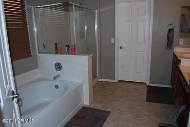 Master Bath and Shower