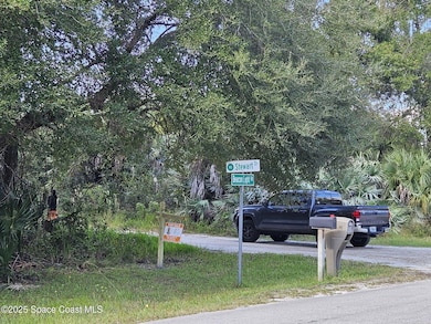 4600 Beacon Light Rd, Edgewater, FL 32141 - photo 4