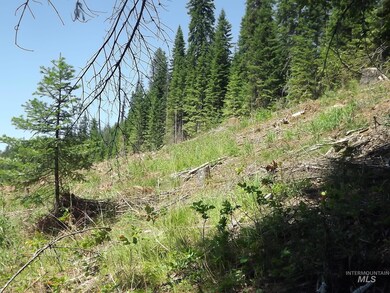 TBD State Highway 11, Pierce, ID 83546 - photo 2