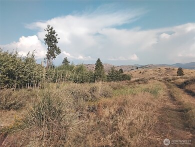 4 Painted Rock Rd, Tonasket, WA 98855 - photo 6