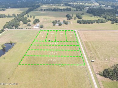 Tbd Begnaud Rd unit Lot 21, Sunset, LA 70584 - photo 6