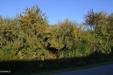 0 Woodgate Drive Lot 13, Crossville, TN 38571 - photo 2