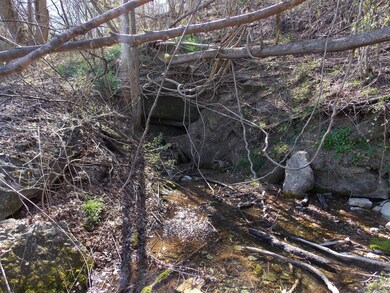 0 Spring Cir, Linden, TN 37096 - photo 3