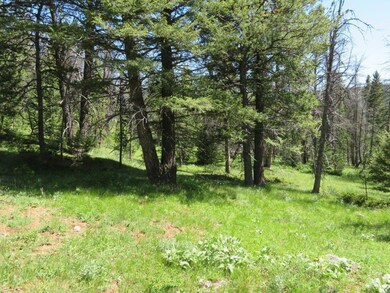 Slvr Queen Quartz Hill Rd, Wise River, MT 59762 - photo 3