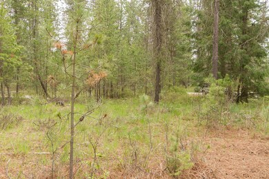 202 Eagle Dr, Chewelah, WA 99109 - photo 4