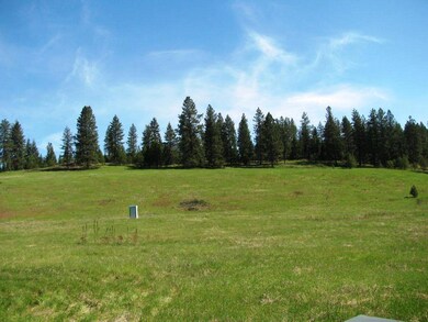 2599 Mud Lake Rd, Chewelah, WA 99109 - photo 2