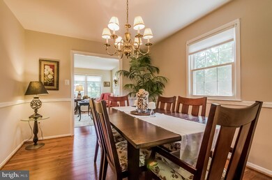 919 Croton Dr, Alexandria, VA 22308 - photo 6