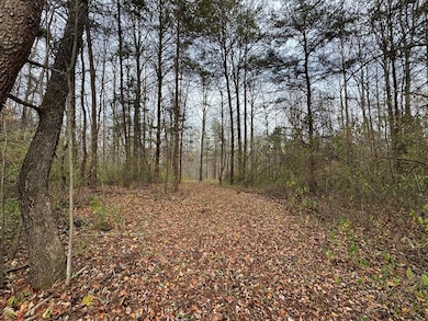 0 Pine Knoll Farms unit 104190, Stuart, VA 24171 - photo 3