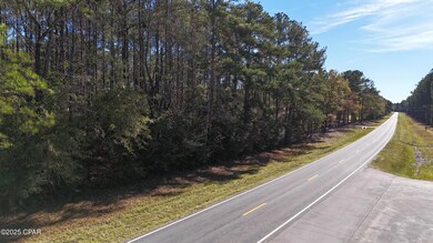 000 Hwy 179, Bonifay, FL 32425 - photo 4
