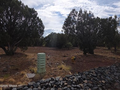 20250722Lots of room_160911