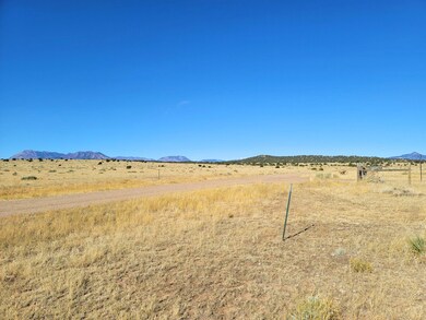 0 La Deora Blvd unit 25762736, Walsenburg, CO 81089 - photo 2