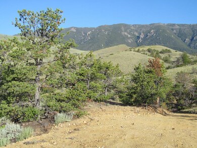 IMG_1201