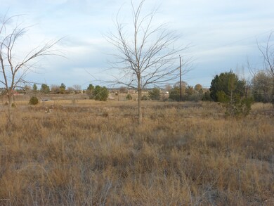 25350 N Naples St, Paulden, AZ 86334 - photo 7
