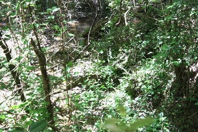 00 Old Station Rd, West Union, SC 29696 - photo 7