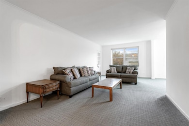 George Washington Apartments unit D31, Forest Hills, NY 11375 - photo 6