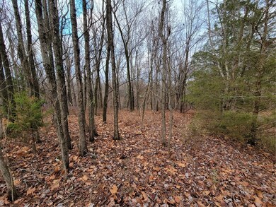 0 Reba Ln unit 1237428, Bella Vista, AR 72715 - photo 2