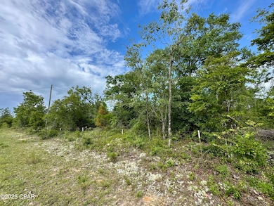 0 Baker Ave unit 774505, Alford, FL 32420 - photo 6