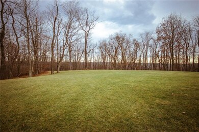 Park like back yard, with plenty of space to roam 