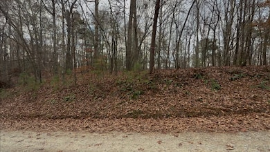 454R Joliet Dr, Ellijay, GA 30540 - photo 6