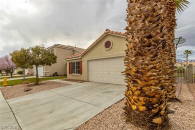 Low maintenance Landscaping front yard