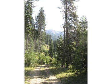 0 unit 24358834, Sumpter, OR 97877 - photo 7