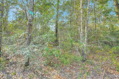 100 Virginia Creek, Coldspring, TX 77331 - photo 2