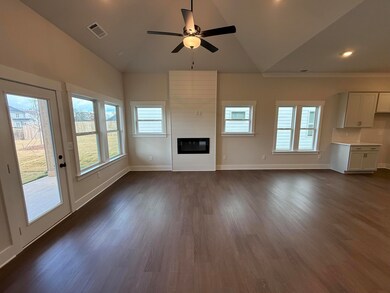 7549 Snow Cone Way, Ooltewah, TN 37363 - photo 7