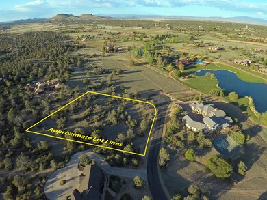 Aerial View Lot Lines