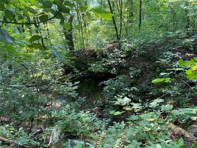 10AC Wild Turkey Rd, Winslow, AR 72959 - photo 7