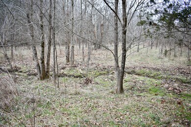 9626 Bohon Rd, Harrodsburg, KY 40330 - photo 6