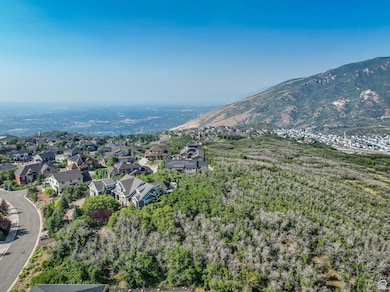 View of mountain backdrop