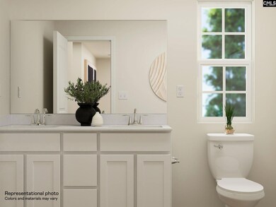 709 Ben Gunn Run, Gilbert, SC 29054 - photo 5