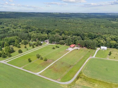 8 Iveon Clay Rd, Pangburn, AR 72121 - photo 6