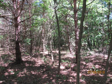 12985 California Rd, Sawyer, MI 49125 - photo 6