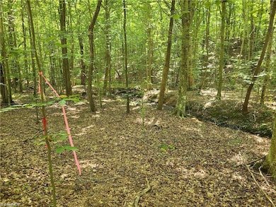 00 Grassy Knob Rd unit 12, Pilot Mountain, NC 27041 - photo 5