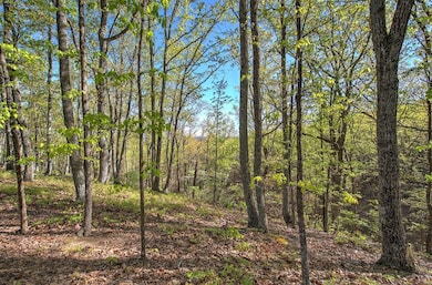 0 Mckibben Rd unit 210, Buchanan, GA 30113 - photo 6