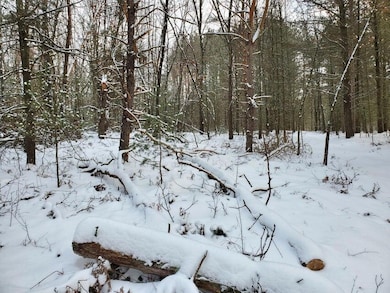 0 N Rd, Brohman, MI 49312 - photo 3