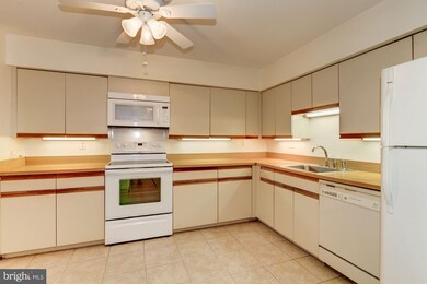 3 Southerly Ct unit 203, Towson, MD 21286 - photo 5