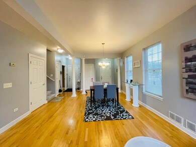 930 Case St, Naperville, IL 60563 - photo 5