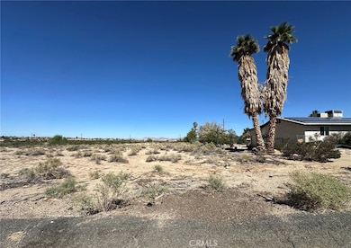 29 Palms Hwy, Twentynine Palms, CA 92277 - photo 3