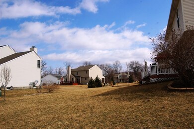 View of Back Yard from the Left Side