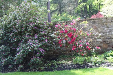 4 Park Place, Corning, NY 14830 - photo 5