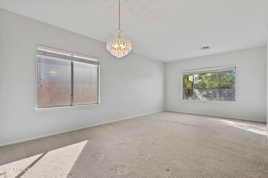 Lots of natural light.