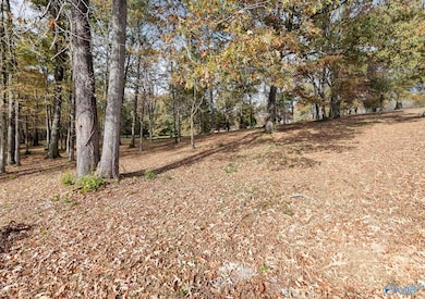 1.77 Ac Riverview Cir, Scottsboro, AL 35769 - photo 4
