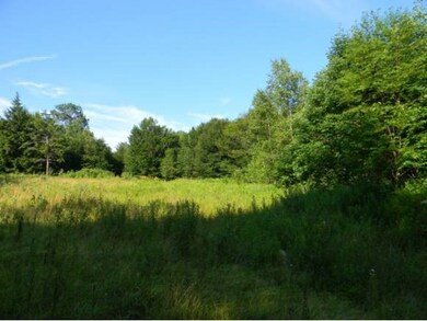 0 Lovejoy Brook Rd unit 4173987, Ludlow, VT 05149 - photo 3